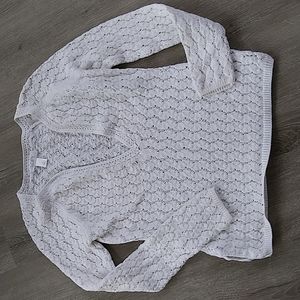Ann Taylor Loft sweater